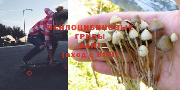 скорость Аркадак
