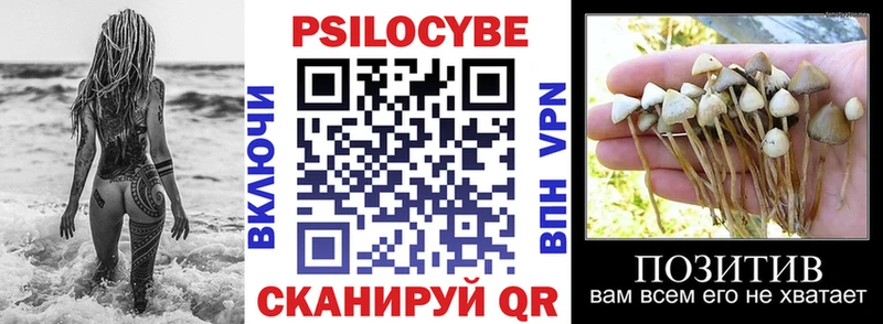 Псилоцибиновые грибы Magic Shrooms Углич